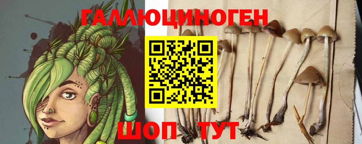 Псилоцибиновые грибы ЛСД Кирово-Чепецк