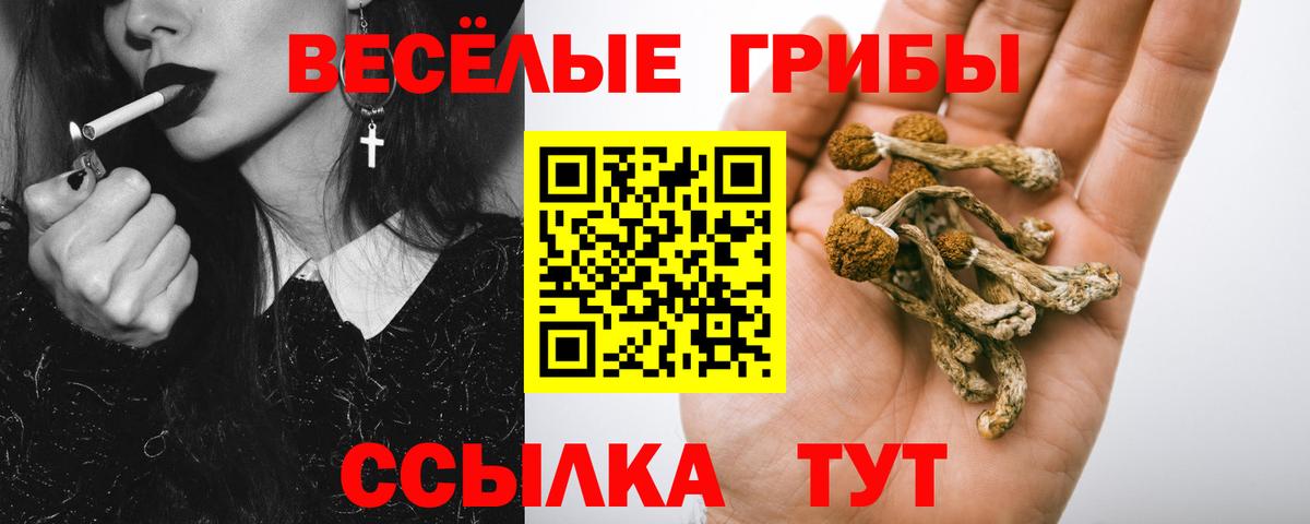 наркошоп  Вход с VPN  Кирово-Чепецк  Галлюциногенные грибы мицелий 